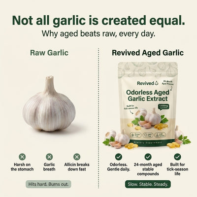 Revived Aged Garlic vs raw garlic — odorless gentle daily, stable compounds, vegan soft-gel