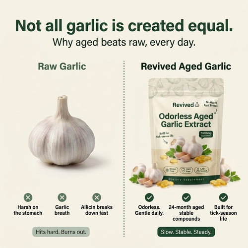 Revived Aged Garlic