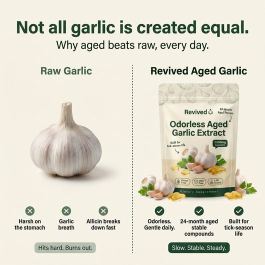 Revived Aged Garlic vs raw garlic — odorless gentle daily, stable compounds, vegan soft-gel