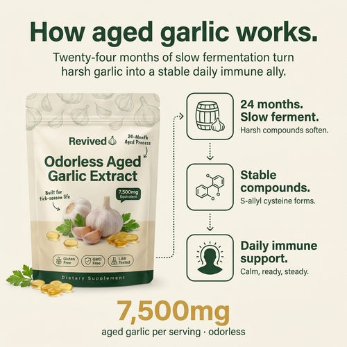 Revived Aged Garlic
